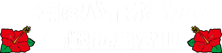 今年はパイオニアも参戦します！