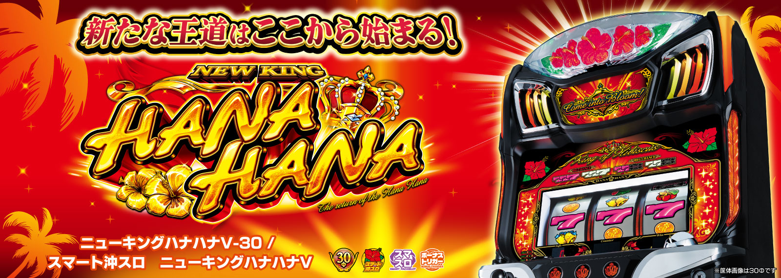 ニューキングハナハナV